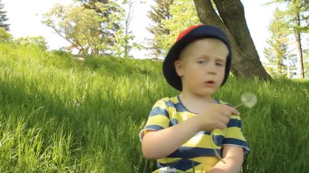 Kleiner Junge auf der Wiese mit Löwenzahn — Stockvideo