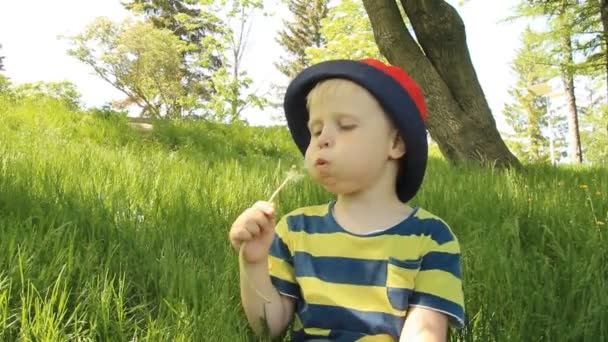Маленький хлопчик на лузі з кульбабою — стокове відео
