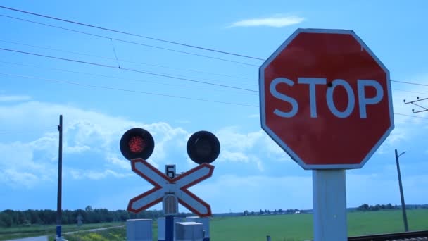 Rysslands järnvägar. järnvägen passerar för bilar — Stockvideo