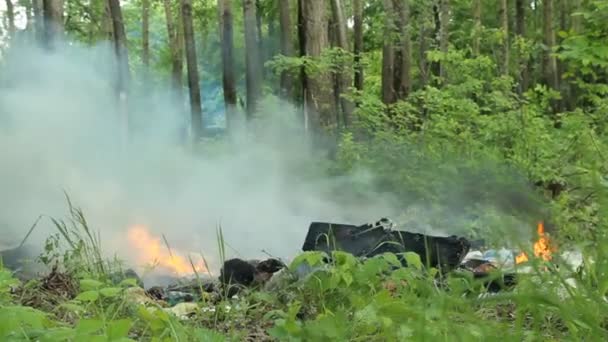 Пожар в лесу — стоковое видео