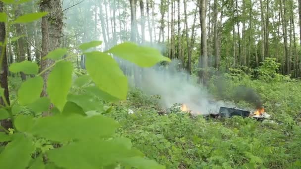 Fuego en el bosque — Vídeo de stock