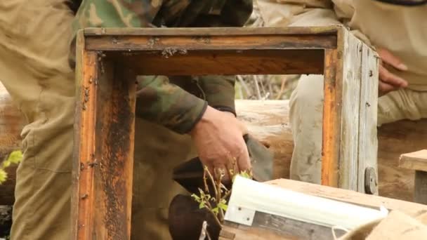 Lente werkt op een bijenteelt. bijenteelt — Stockvideo