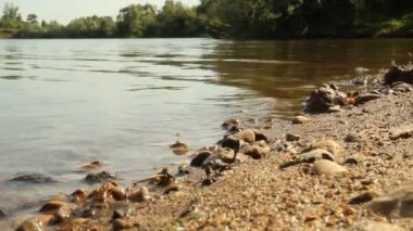 göldeki su. su rekreasyon