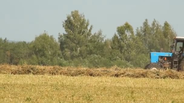 Два трактора собирают урожай в поле — стоковое видео