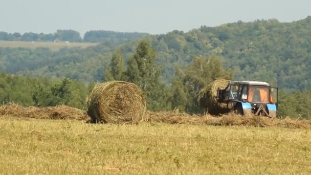 여름 날에 필드에서 건초를 운반 하는 트랙터 — 비디오