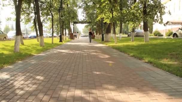Una joven en un parque. Camina por la avenida — Vídeo de stock