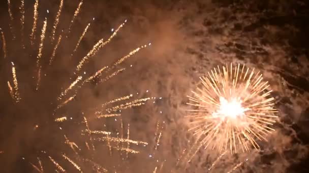 Fuochi d'artificio — Video Stock