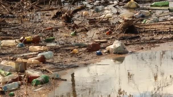 Εαρινές πληµµύρες. σκουπίδια, οικολογία — Αρχείο Βίντεο