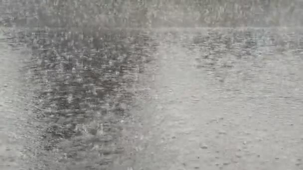 Herbstregen. Fahrbahn — Stockvideo