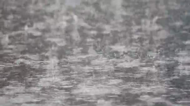 Jesienne deszcze. jezdni — Wideo stockowe