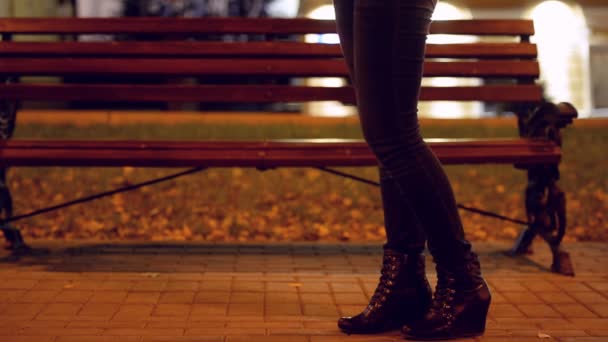 Jonge mensen op een datum in het park. 's avonds, herfst — Stockvideo