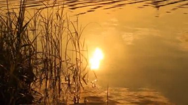 göl günbatımı. Yaz peyzaj