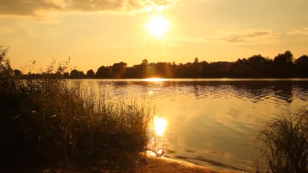 Puesta de sol en el lago. paisaje de verano — Vídeos de Stock