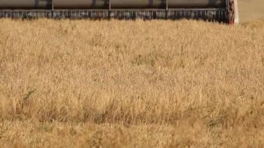 Ufa, Rusya Federasyonu - Ağustos 22, 2013: ufa, Rusya yakın bir yulaf ürün hasat bir birleştirmek hasat (üstbilgi)