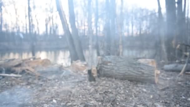 Campfire near the lake — Stock Video
