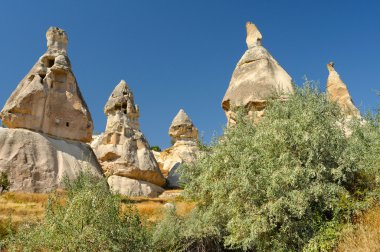 kapadokya