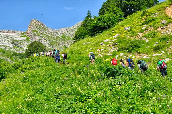 Groenen bergen — Stockfoto