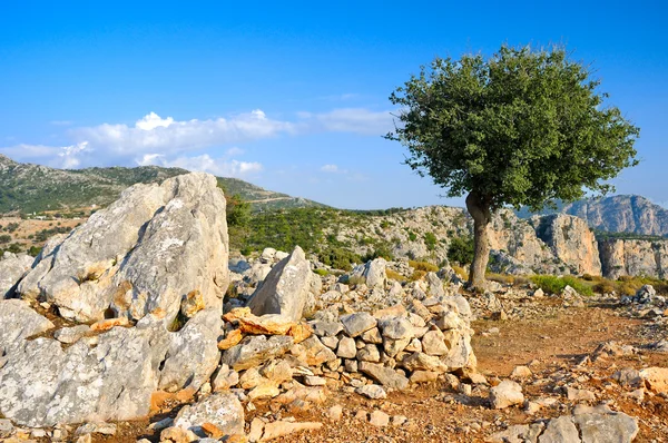 Doğa