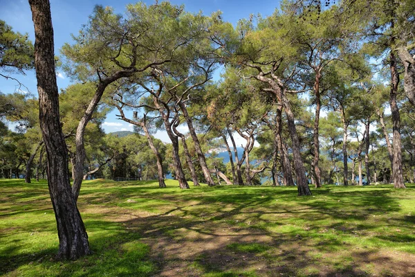 Prens Adaları