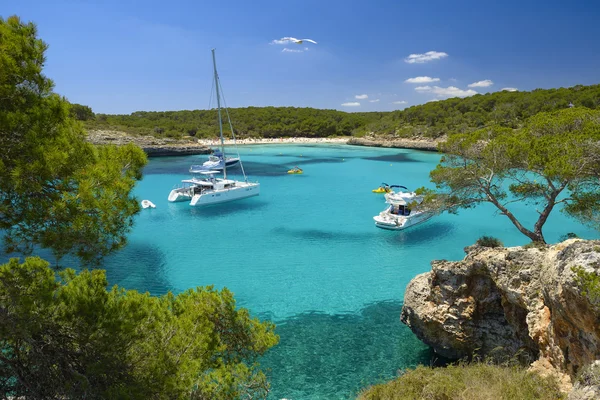 Cala d of — Stockfoto