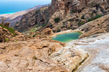 Socotra