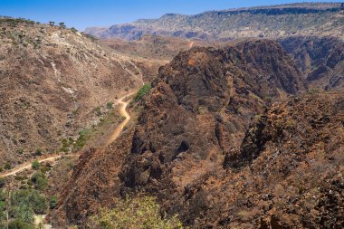 Socotra