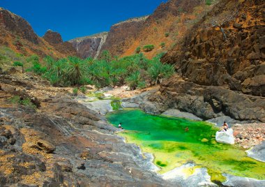 Socotra