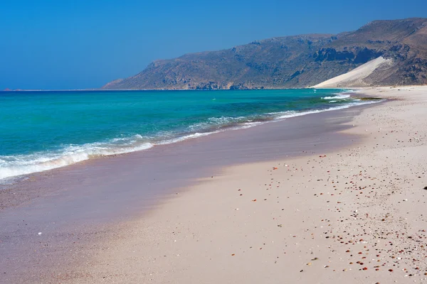 Socotra — Stock Photo, Image