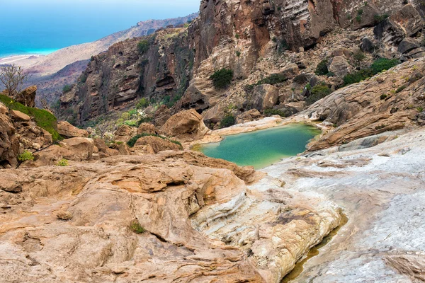 Socotra
