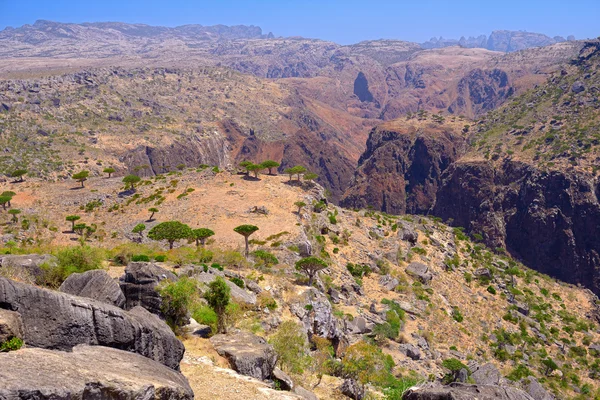 Socotra