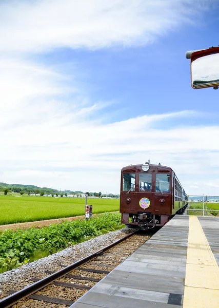 Trein komt naar station1 — Stok fotoğraf