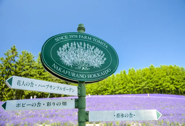 Lavendelfeld in tomita farm japan1 — Stockfoto