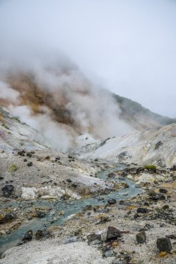 jigokudani cehennem noboribetsu japan20 dağda