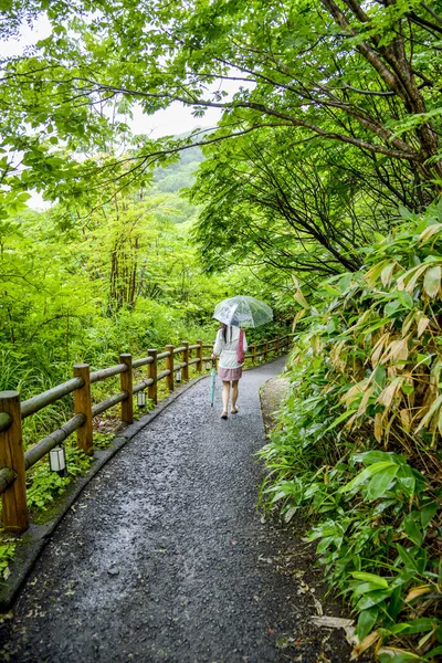 Señora con paraguas caminar a lo largo del bosque — Foto de Stock