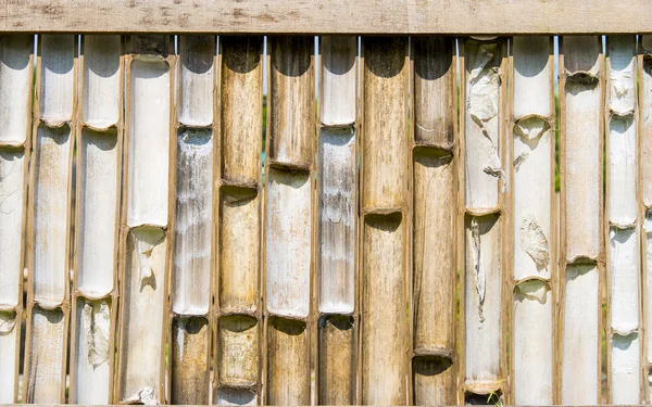 Feno de bambu 1 — Fotografia de Stock