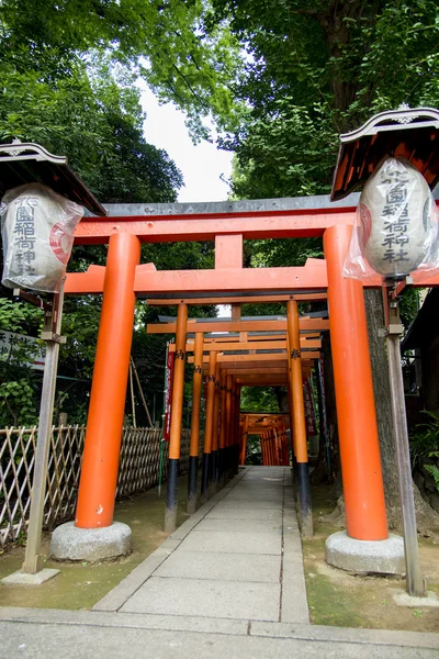 ประตูโทริอิสีแดงก่อนที่จะไปวัดญี่ปุ่น — ภาพถ่ายสต็อก