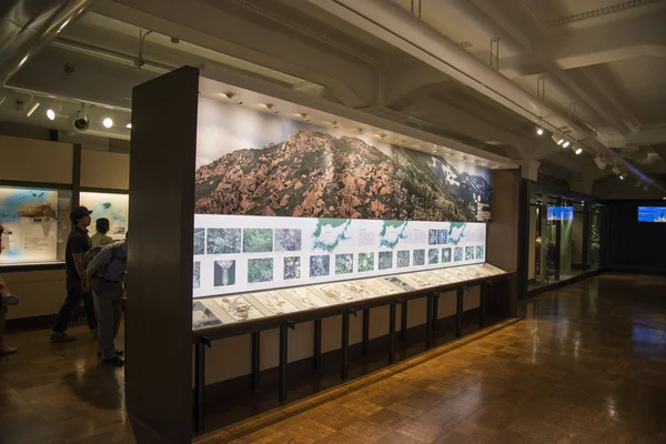 Musée national de la nature et des sciences au Japon — Photo