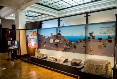 Doğa ve Bilim Ulusal Müzesi'nde Japon taş türü 