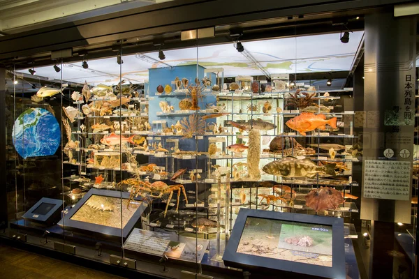 Doğa ve scienc Ulusal Müzesi'nde hayvanlar dolması