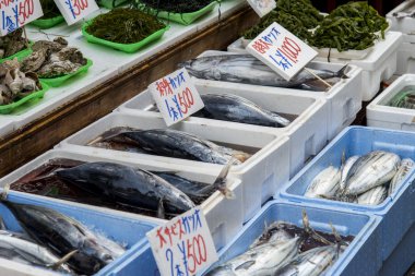 Japon market1 taze balık