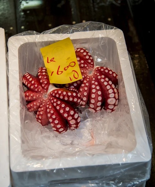 Dos pulpos en hielo en venta —  Fotos de Stock