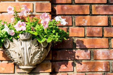 Vazoda çiçek wall1 üzerinde