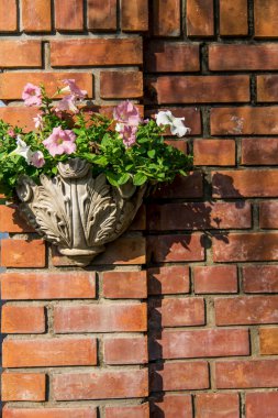 Vazoda çiçek wall4 üzerinde