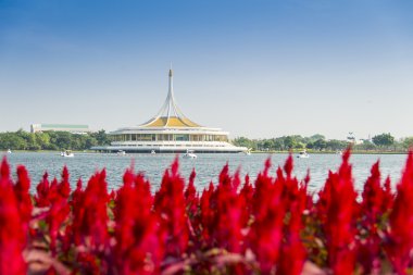 Kırmızı cockcomb yılında Kral rama IX park thailand2