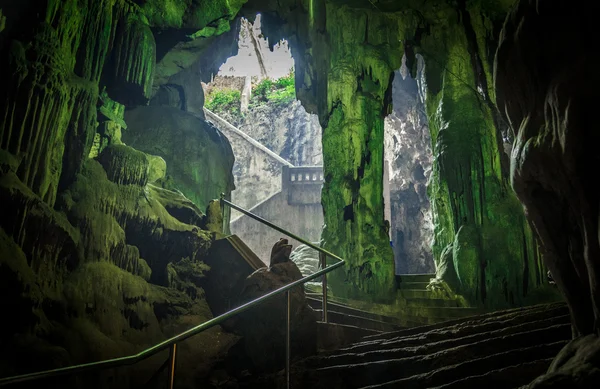 Escalier en pierre dans la cave2 — Photo