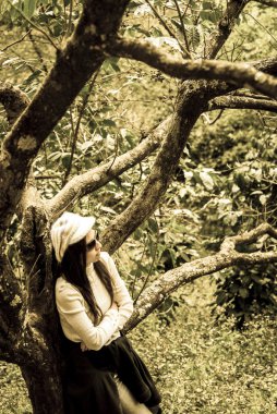 yalnızlık kadınlar kiraz tree2 altında