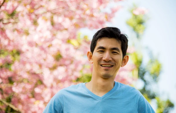 Homme souriant bleu avec arbre de fleur de cerisier rose — ストック写真