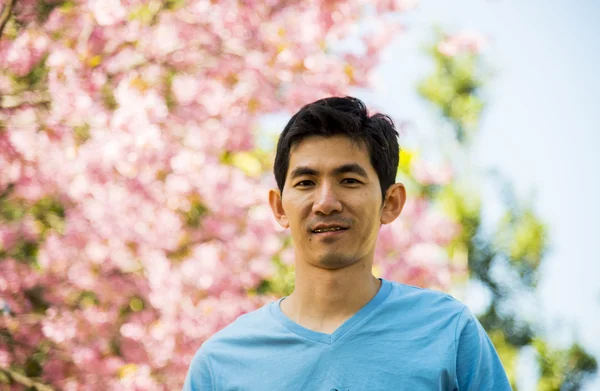 Homme bleu avec arbre de fleurs de cerisier rose2 — Photo