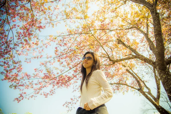 Mujer usar gafas con flor de cerezo rosa árbol 3 —  Fotos de Stock
