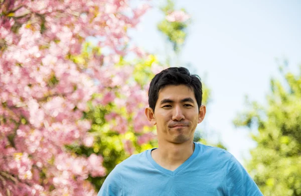Синий мужчина с розовым цветком вишни — стоковое фото